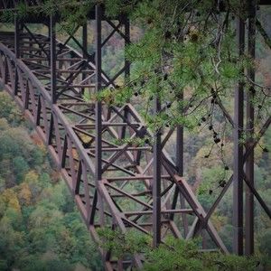 Meet your Posher, Missy